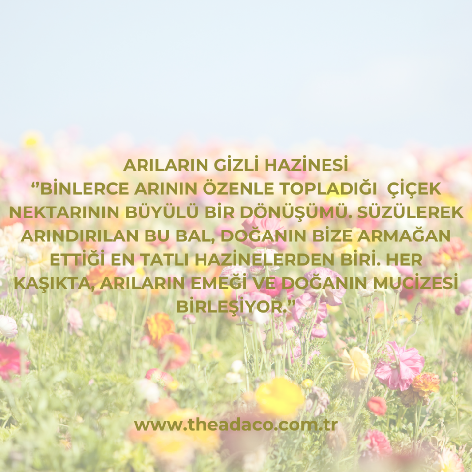 Theadaco Süzme Çiçek Balı 250 gr
