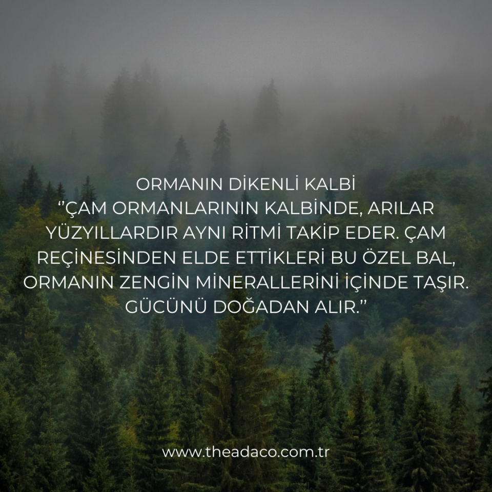Theadaco Çam Balı 250 gr