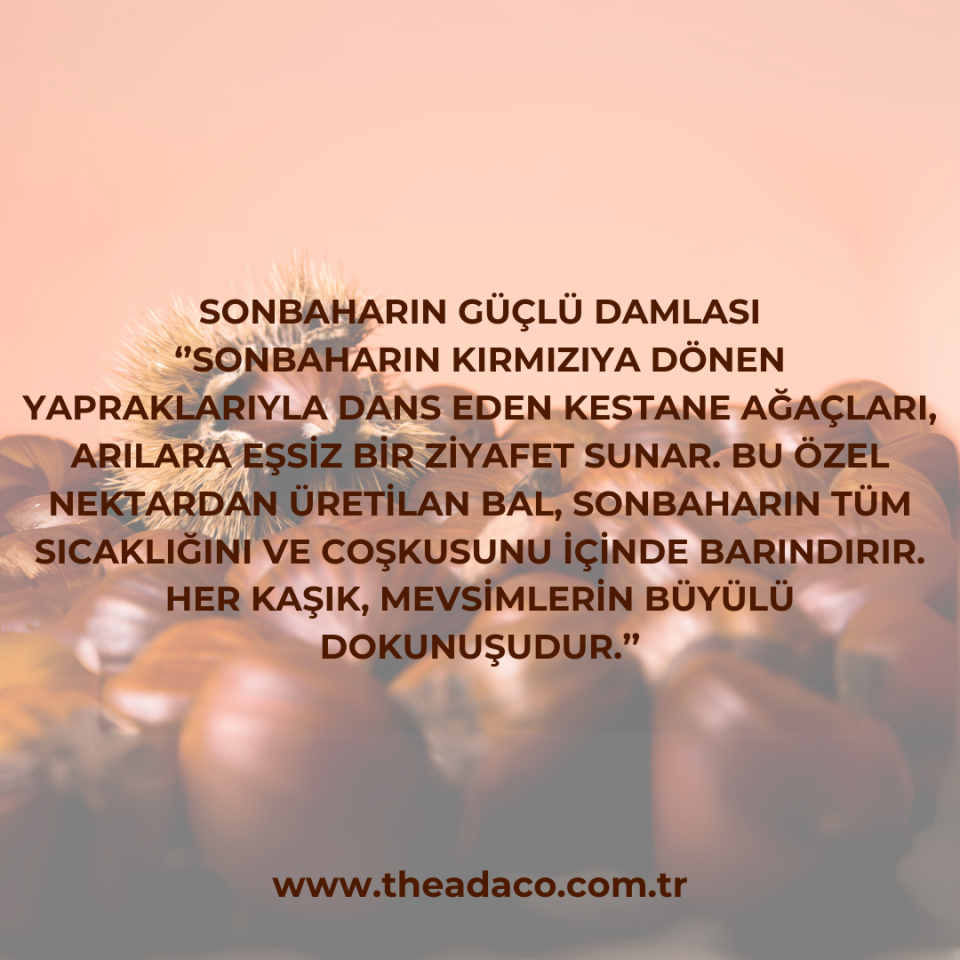 Theadaco Kestane Balı 250 gr
