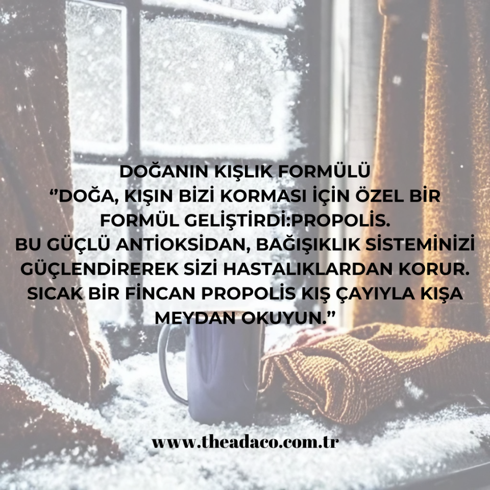 Theadaco Propolis Kış Çayı 175 gr